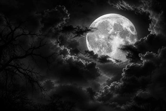 full moon wayward things