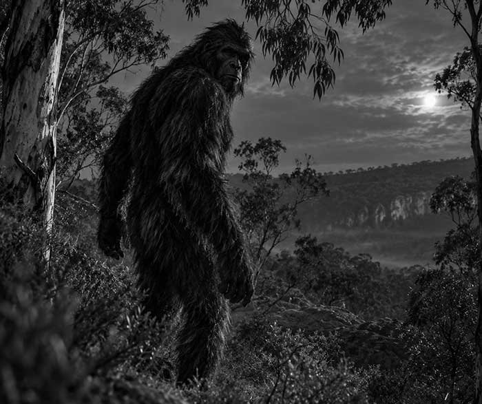 yowie opt
